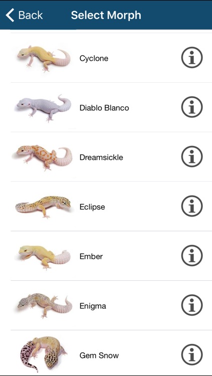 Reptile Calculator screenshot-3
