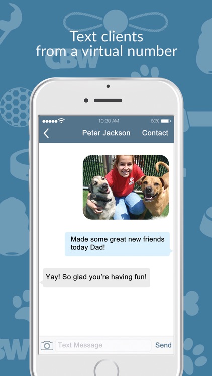 Camp Bow Wow Messenger