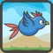 Crazy Bird Zoo Escape Attack Game