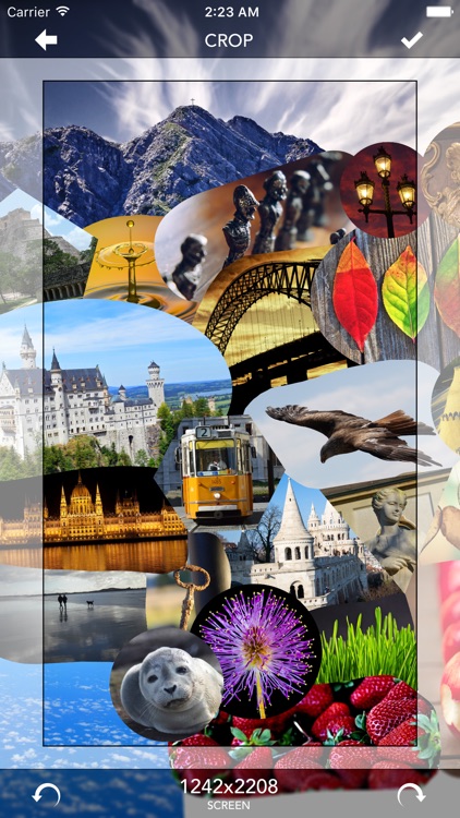 Montage screenshot-3