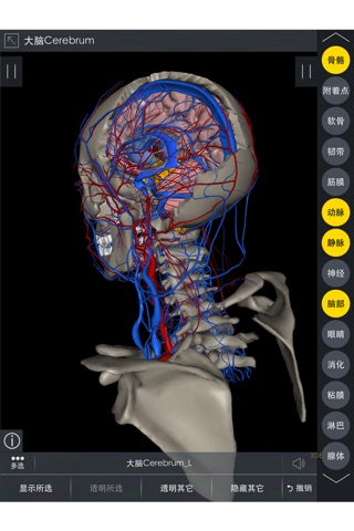 头颈Pro-高精三维解剖图像 screenshot 4