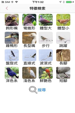 EEBirds screenshot 2