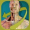 An interactive visual guide for learning, understanding and teaching acupuncture