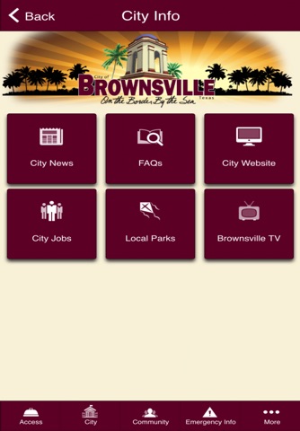 Access Brownsville screenshot 2