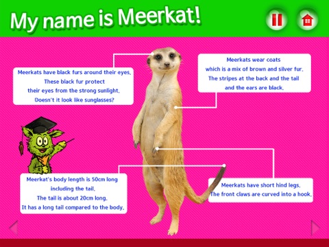 meerkat boots on the zoo screenshot 3