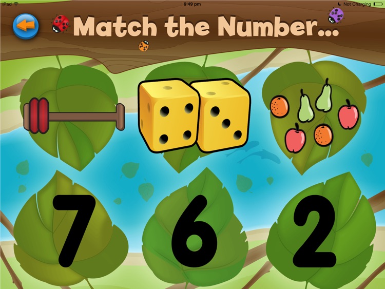 Match The Number Bug