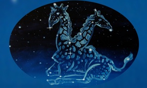 Space Constellations