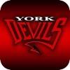 York Hockey