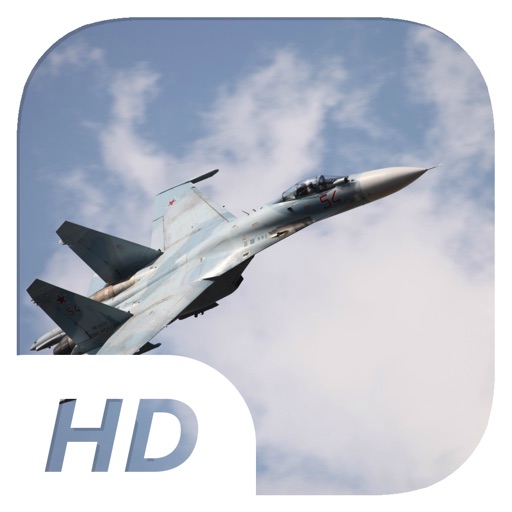 Sandybrown Hawk - Flight Simulator iOS App
