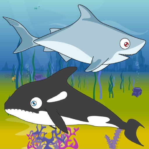 Shark Feed iOS App