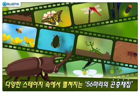 곤충의 숲 screenshot 2