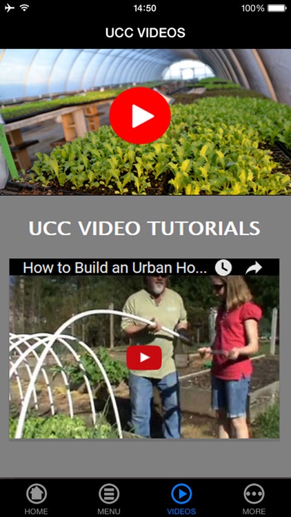 Who Else Want to Enjoy How to Build a Greenhouse Today?