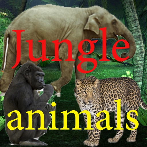 Sounds of Jungle iOS App