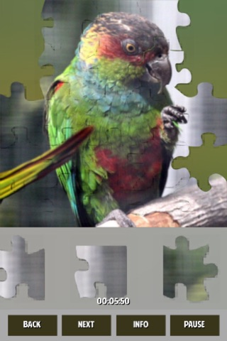 Parrots Jigsaw Puzzles screenshot 3