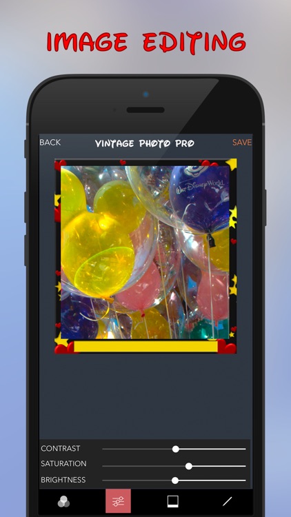 Vintage Photo Pro for Disney World screenshot-3