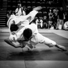 Judo Beginner's Guide: Techniques and Tutorial