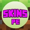 FREE SKINS for Minecraft PE ( Pocket Edition ) & PC