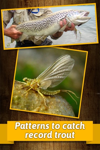 Trout Fly Fishing & Tying Tutorials - Learn How to Tie Flies with Step by Step Patterns screenshot 3