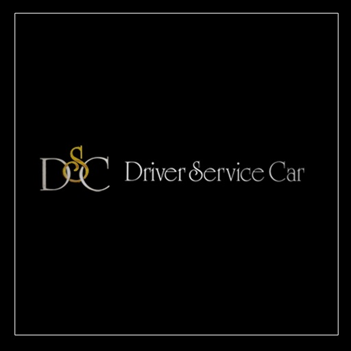 DS Car Icon