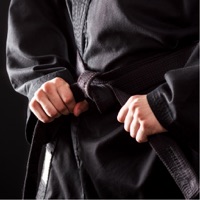 Brazilian Jiu Jitsu techniques - Learn The Basic Moves apk