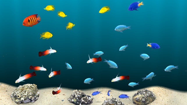 MyReef 3D Aquarium TV Lite(圖3)-速報App