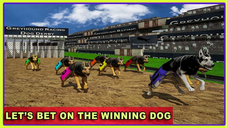 Race Dog Racer Simulator 2016 – Virtual Racing Championship with Real Police Dogs