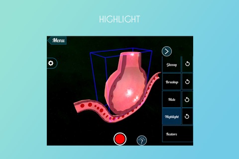 Section of Alveolus 3D screenshot 3