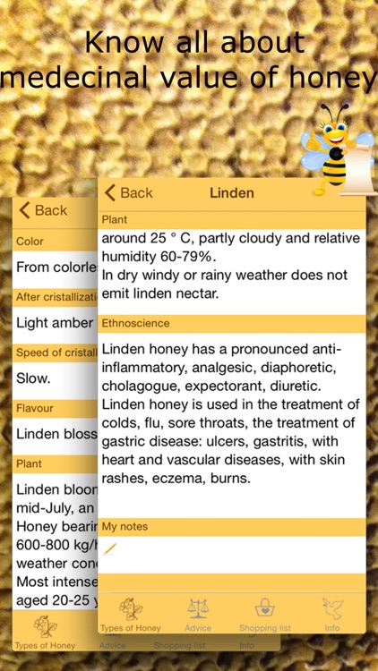 Honey Guide. All about bees and honey types.