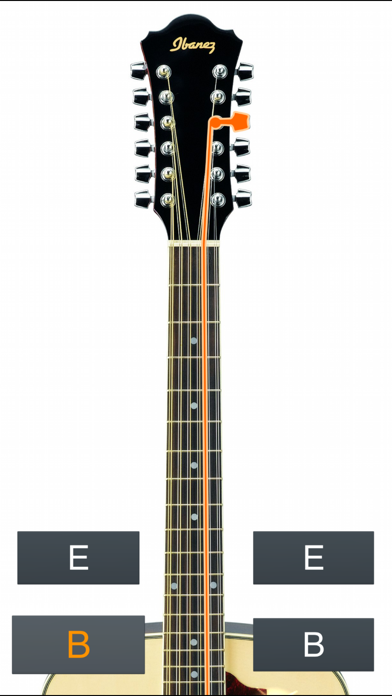 12-String Guitar Tuner Simple Screenshot 4