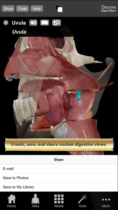 Digestive Anatomy Atl... screenshot1