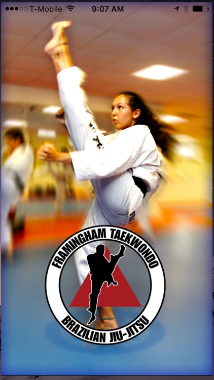 Framingham Taekwondo