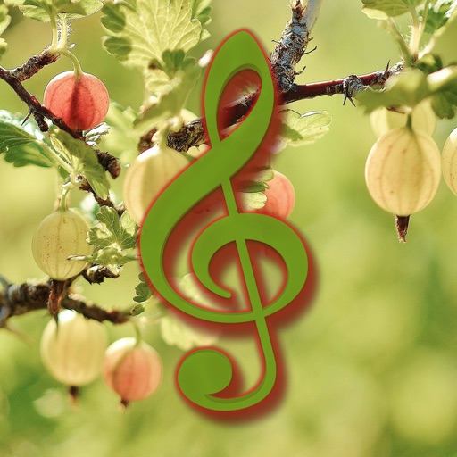 Nature Tunes Quiet Relaxation Zone icon