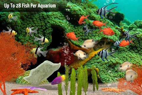 MyReef 3D Aquarium 3 screenshot 3
