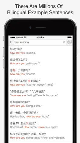 Game screenshot English - Chinese Dictionary & Phrasebook / 英英字典、翻译器、抽认卡、短语集 hack