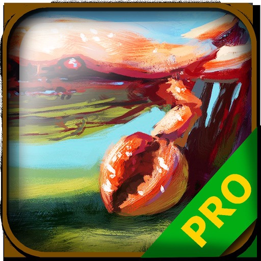 PRO - No Time to Explain Game Version Guide icon