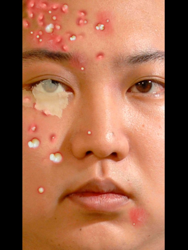 【图】Celebrity Breakout(截图3)