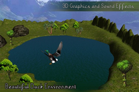 Duck Hunting Light-3D screenshot 2