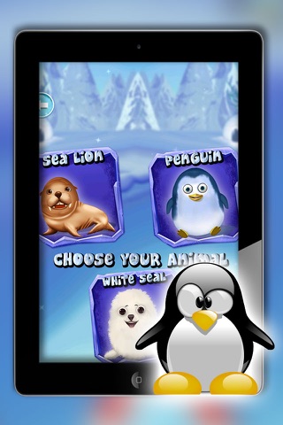 ice animal rescue - Feed The Animals with Pet Salon, Doctor screenshot 2