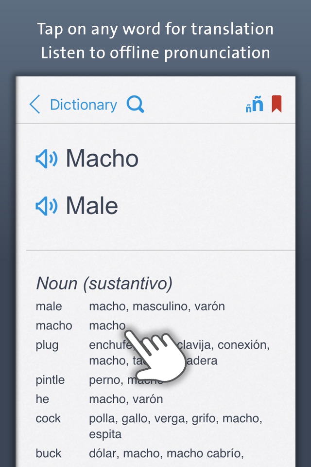 Spanish Dictionary | Offline Translation With Pronunciation screenshot 4