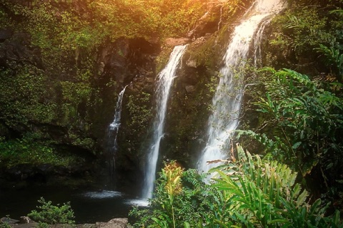 Tropical Relaxation screenshot 2