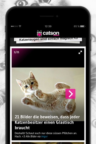 catson screenshot 3