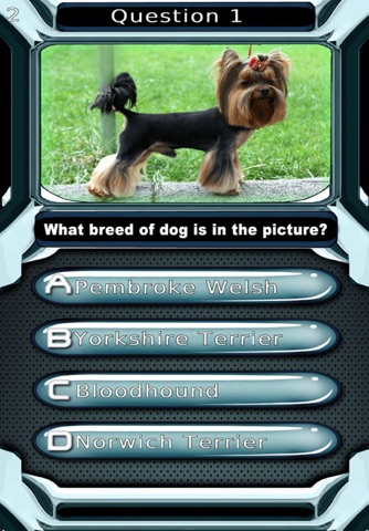 My Dog Breed Quiz for Animal Lovers - Free Trivia To Learn Cute Puppy Breeds Names screenshot 3