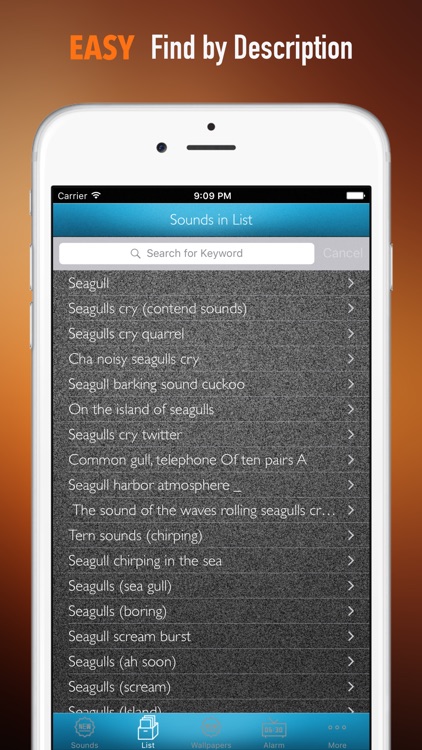 Seagull Sounds and Wallpapers: Theme Ringtones and Alarm