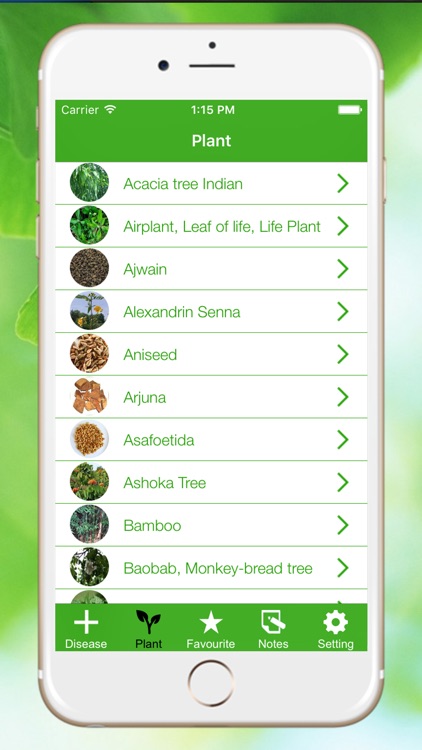 Natural Ayurvedic Remedies Herb