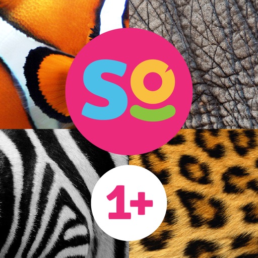 SO Animals - HD Interactive Animal Flash Cards & Sounds