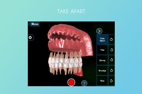 Virtual Reality(VR) Teeth Anatomy screenshot 2