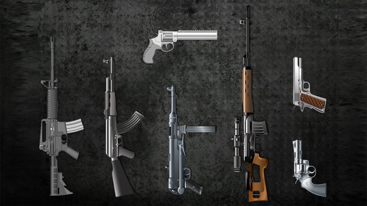 Gun Pro HD