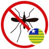 Aedes na Mira PI