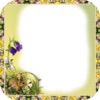 Easter Frames Easter Frames