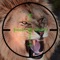 Lion Hunter wild Forest Escape